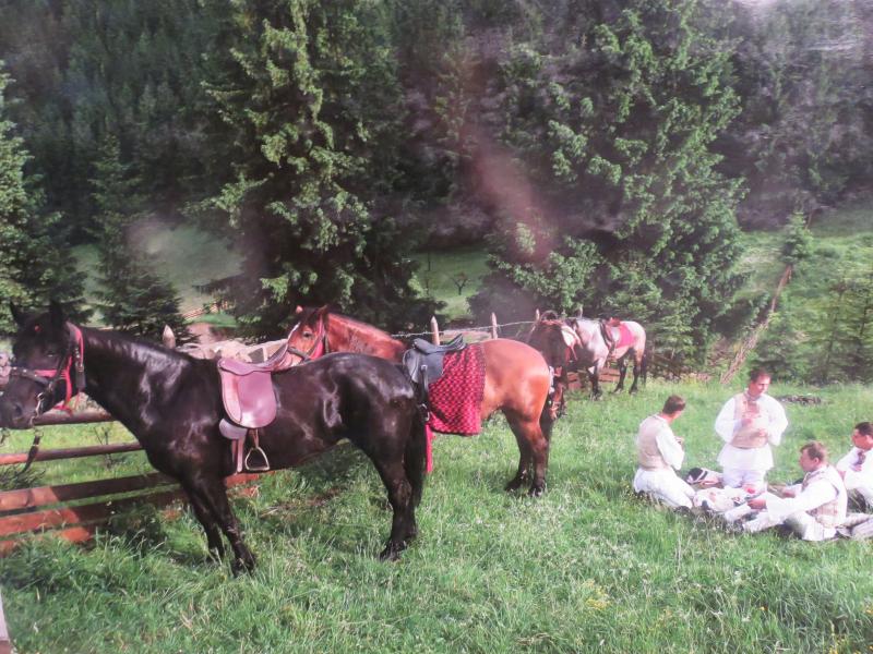 Román vidéken lóvásárban